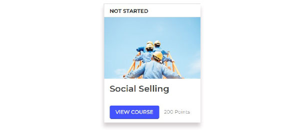 micro incentive example